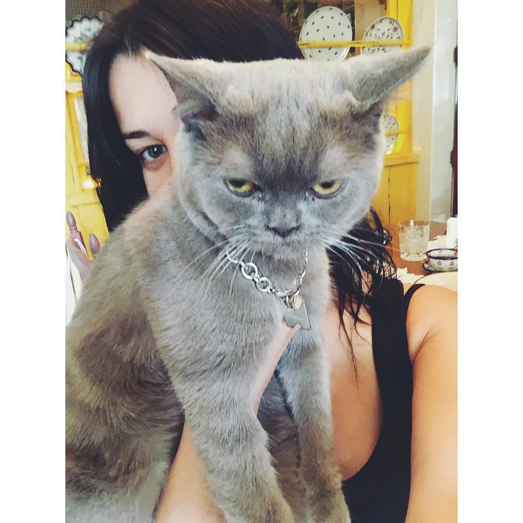 Звезды российского кино прогулялись по Баку (ФОТО)