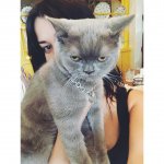 Звезды российского кино прогулялись по Баку (ФОТО)