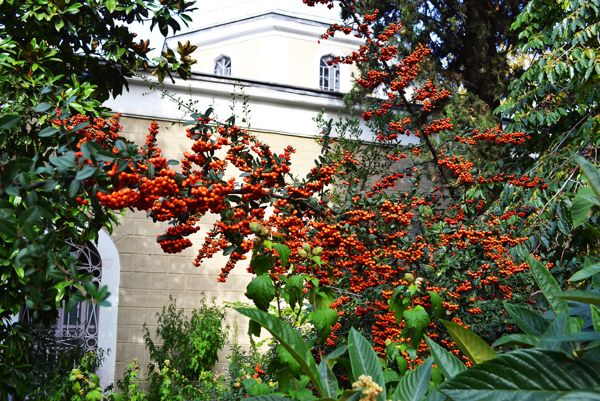 Путешествие азербайджанца в первую столицу Оттоманской империи (ФОТО, часть 2)