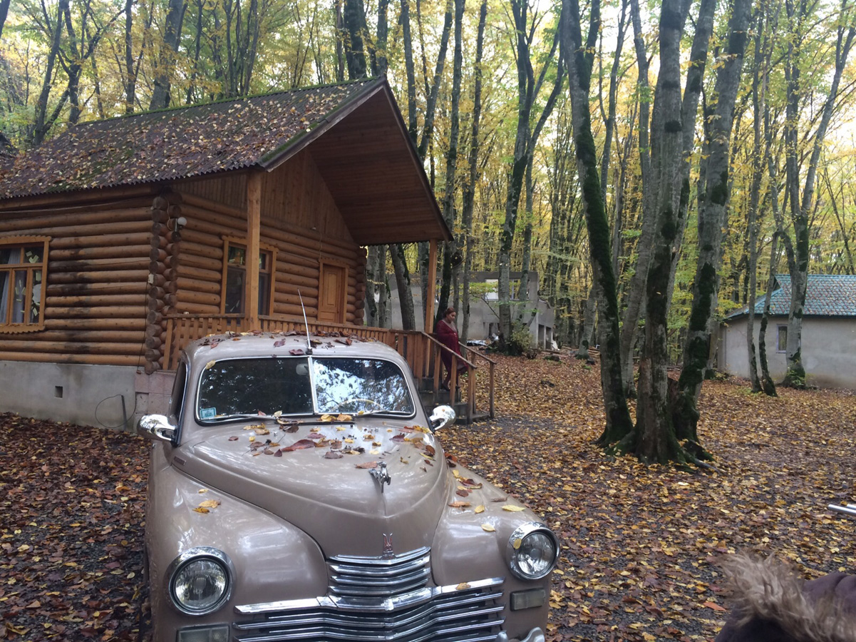 Телеведущая Вюсаля Керимова в образе домохозяйки в лесном домике (ФОТО)