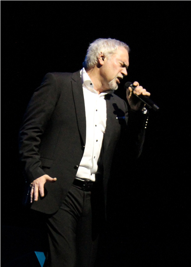 Валерий Меладзе зажег в Баку звезды, или Когда зашкаливают эмоции (ФОТО)