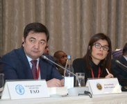 Азербайджан добился значительных достижений в усилении исламской солидарности - ИСЕСКО