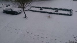 В Баку выпал первый снег (ФОТО)