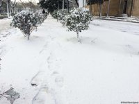 Бакинский снег – шансон (ФОТО,АУДИО)