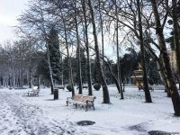 Бакинский снег – шансон (ФОТО,АУДИО)