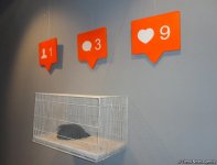 Sırğa olsun, или Как художники проиллюстрировали смысл известной поговорки (ФОТО)