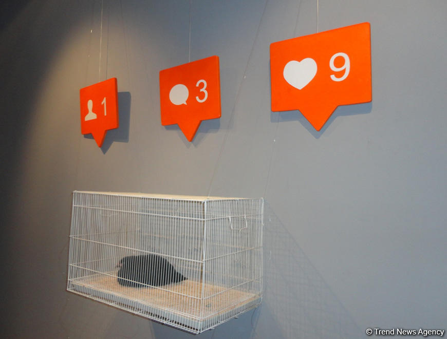 Sırğa olsun, или Как художники проиллюстрировали смысл известной поговорки (ФОТО)