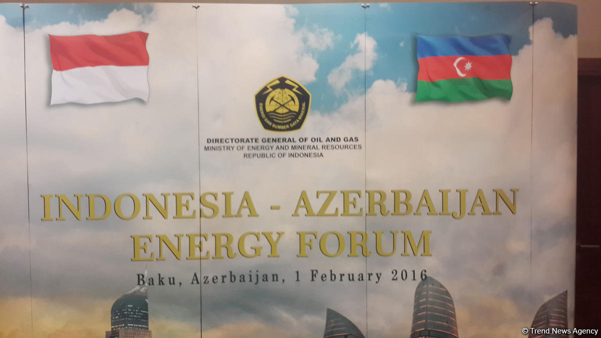 Индонезия ждет азербайджанские инвестиции