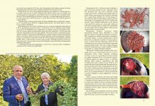 Азербайджанские ковры - Карабахский регион (ФОТО)