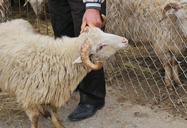 Госструктуры будут работать в усиленном режиме в дни праздника Гурбан