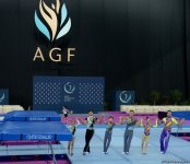 В Баку состоялась церемония открытия Кубка мира FIG по прыжкам на батуте  (ФОТО)