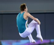 В Баку стартовал первый день соревнований Кубка мира FIG по прыжкам на батуте
