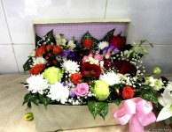 В Азербайджане отмечают Международный женский день (ФОТО)