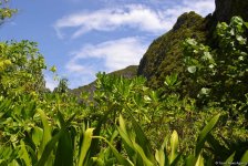 Фантастические экскурсии Таиланда с экстримом (ФОТО)