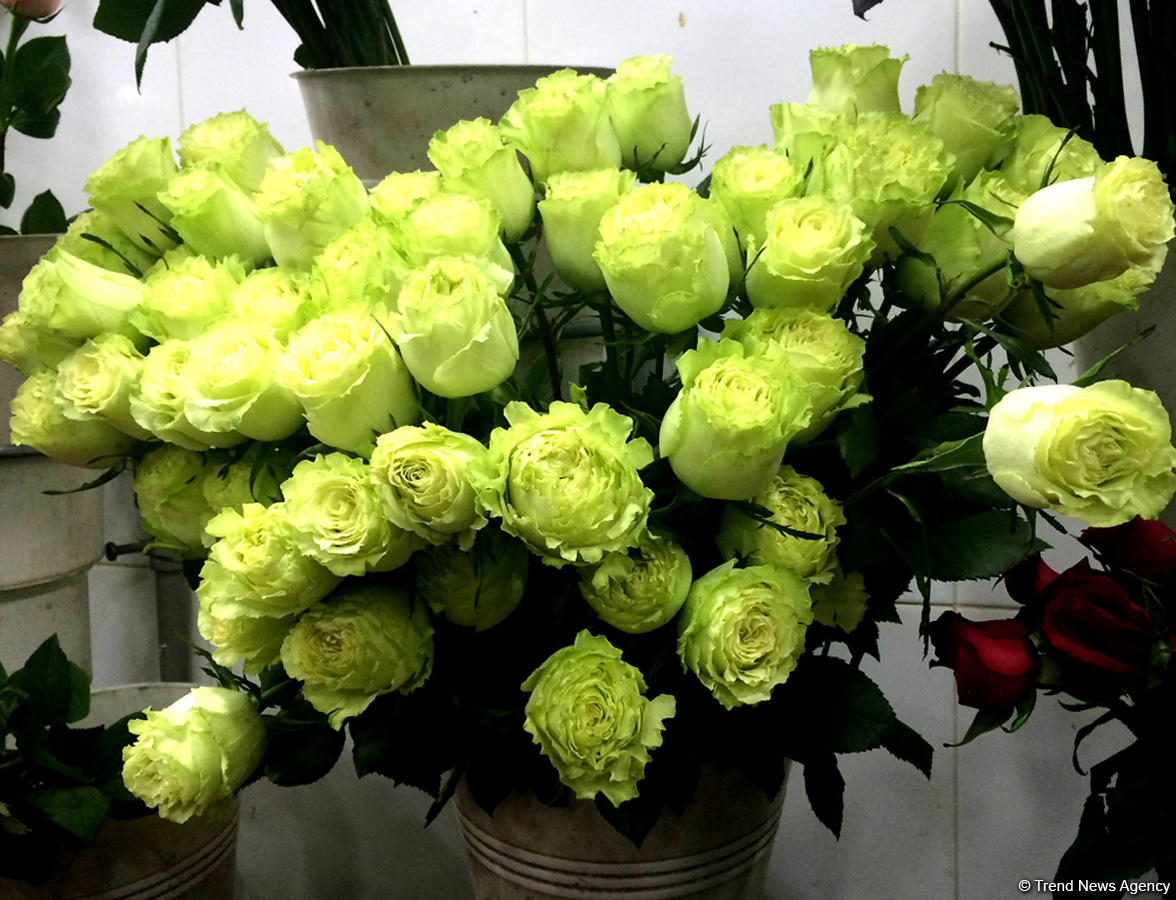 В Азербайджане отмечают Международный женский день (ФОТО)