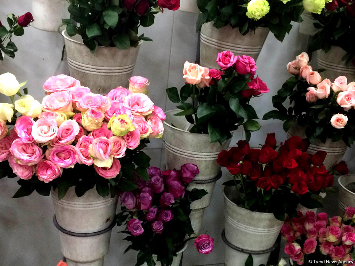 В Азербайджане отмечают Международный женский день (ФОТО)