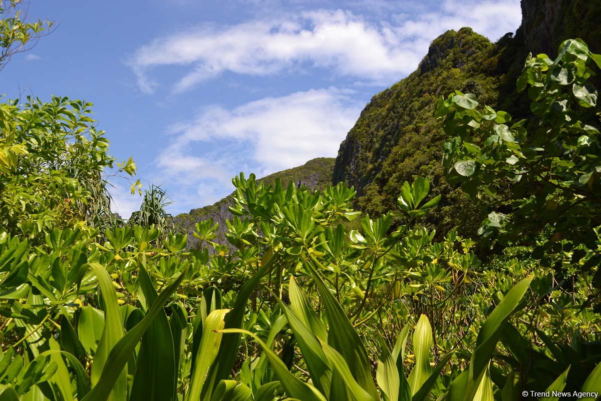 Фантастические экскурсии Таиланда с экстримом (ФОТО)