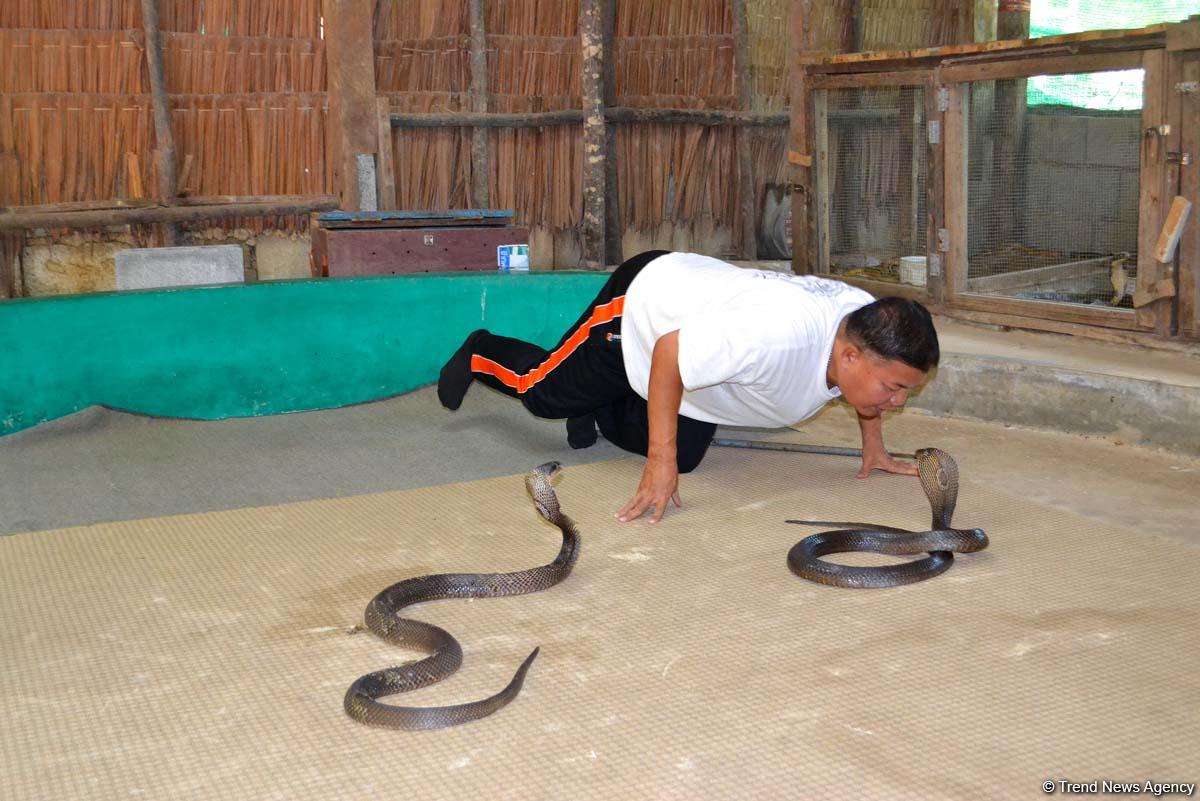 Фантастические экскурсии Таиланда с экстримом (ФОТО)