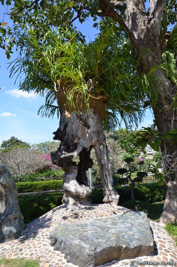 Фантастические экскурсии Таиланда с экстримом (ФОТО)