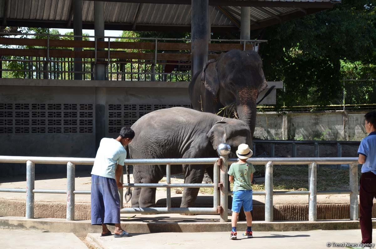 Фантастические экскурсии Таиланда с экстримом (ФОТО)