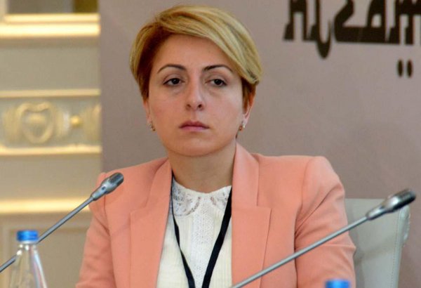 Развитие азербайджано-грузинских отношений способствует прогрессу региона - Эка Ткешелашвили