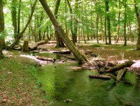 В Баку наградили победителей конкурса "Весенние сюжеты" (ФОТО)