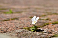 В Баку наградили победителей конкурса "Весенние сюжеты" (ФОТО)