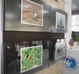 В Баку наградили победителей конкурса "Весенние сюжеты" (ФОТО)