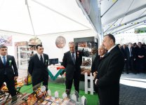 Президент Азербайджана и его супруга приняли участие во всенародных празднествах по случаю Новруза (ФОТО)