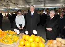 Президент Азербайджана и его супруга приняли участие во всенародных празднествах по случаю Новруза (ФОТО)