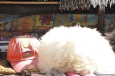 Дарующий радость Новруз (ФОТО)