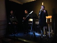 Джаз объединил Австрию и Азербайджан (ФОТО)