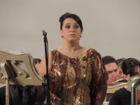 Viva Opera в Баку – шедевры мировой классики в исполнении звезд (ФОТО)