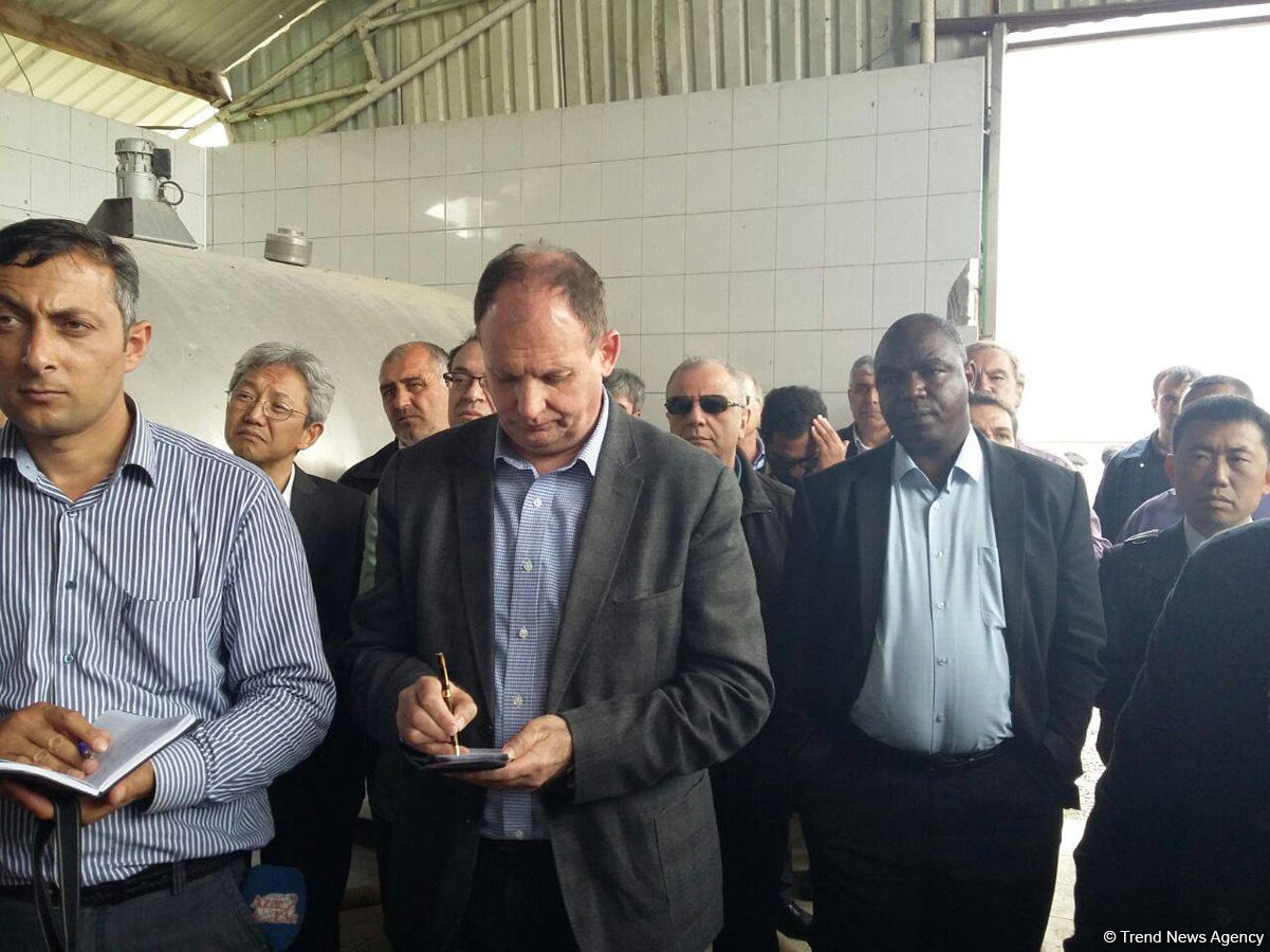 Представители дипкорпуса в Азербайджане осмотрели обстрелянные армянами дома в Агдамском районе (ФОТО)