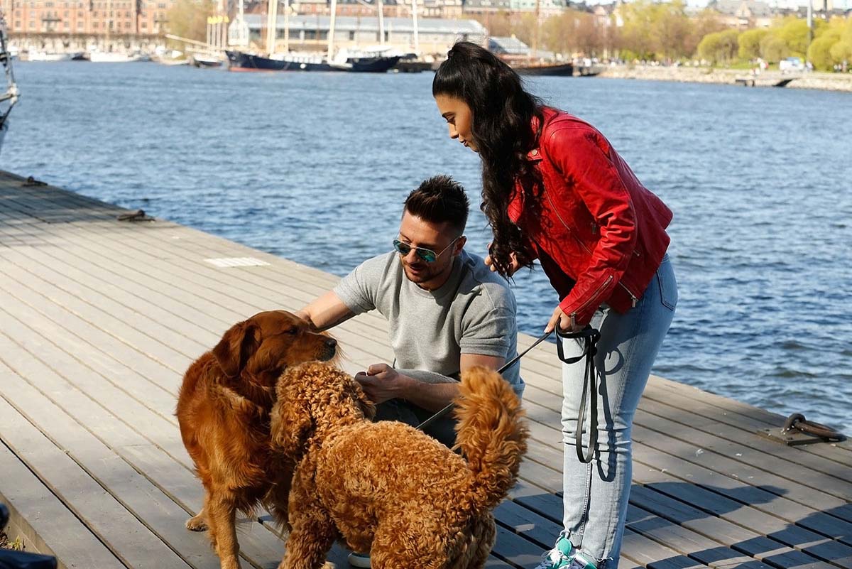 Как Сергей Лазарев и Сямра Рагимли подружились в Стокгольме (ФОТО)