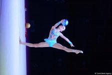Стартовали соревнования XXIII чемпионата Азербайджана по художественной гимнастике (ФОТО)