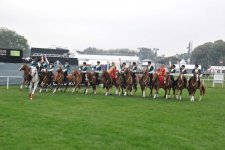 Карабахские скакуны восхитили Европу – юбилей Королевы Англии (ВИДЕО, ФОТО)