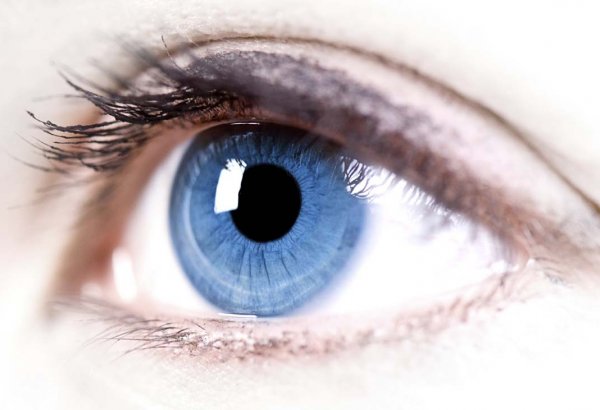 Азербайджанский офтальмолог рассказала о причинах нарушения зрения у детей