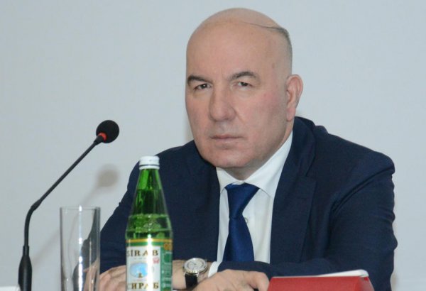 42-я Всемирная шахматная олимпиада внесет большой вклад в развитие шахмат в Азербайджане - Эльман Рустамов