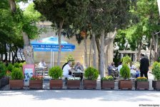 Уникальное путешествие по Бакинскому бульвару для гостей "Формулы-1" (ФОТОРЕПОРТАЖ)