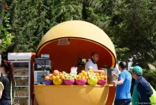 Уникальное путешествие по Бакинскому бульвару для гостей "Формулы-1" (ФОТОРЕПОРТАЖ)