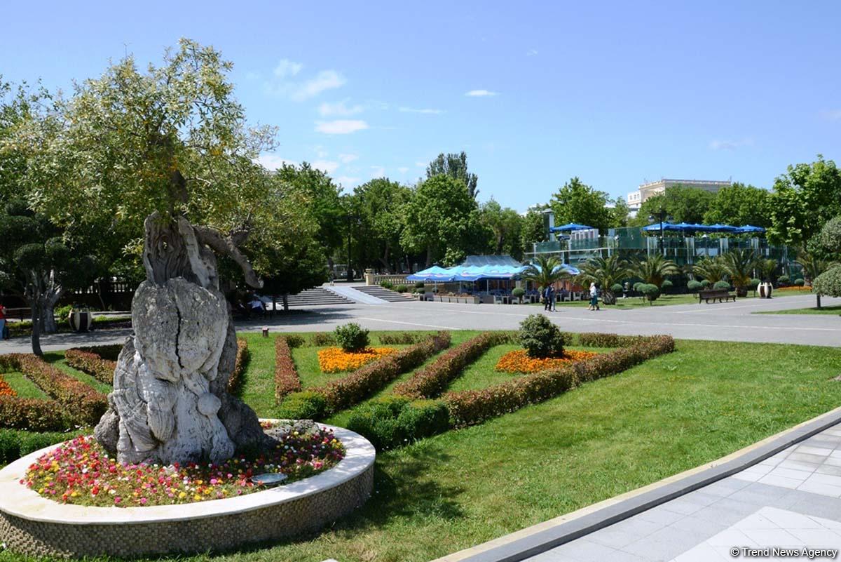 Уникальное путешествие по Бакинскому бульвару для гостей "Формулы-1" (ФОТОРЕПОРТАЖ)