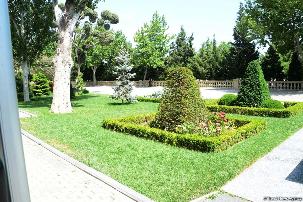 Уникальное путешествие по Бакинскому бульвару для гостей "Формулы-1" (ФОТОРЕПОРТАЖ)