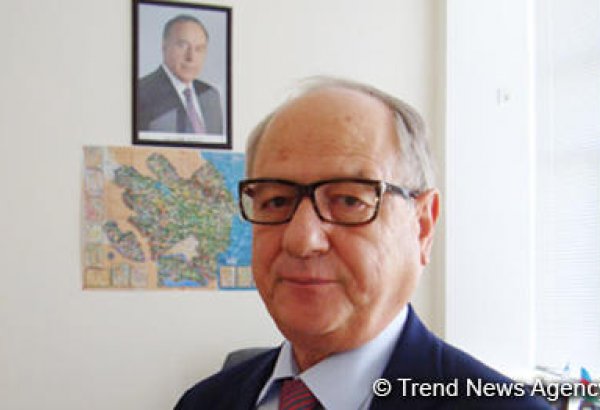 Президент Ильхам Алиев продемонстрировал, что Азербайджан и Турция являются братскими странами - представитель HASEN