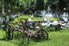 Уникальный летний творческий лагерь в Азербайджане "Поймай свою волну " (ФОТО)