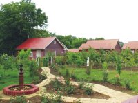 Уникальный летний творческий лагерь в Азербайджане "Поймай свою волну " (ФОТО)