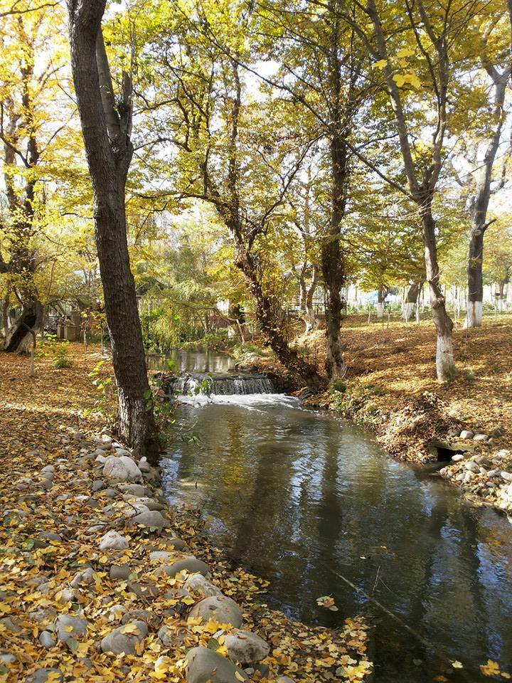 Уникальный летний творческий лагерь в Азербайджане "Поймай свою волну " (ФОТО)