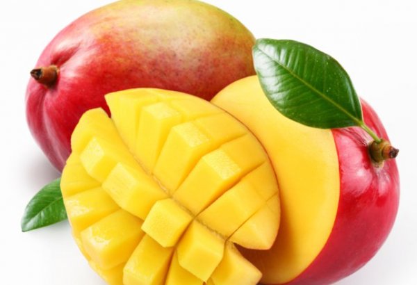 Все о манго в передаче Рены Байрамгызы