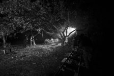 Белокурая красавица вернула к жизни народного артиста Азербайджана  (ВИДЕО, ФОТО)