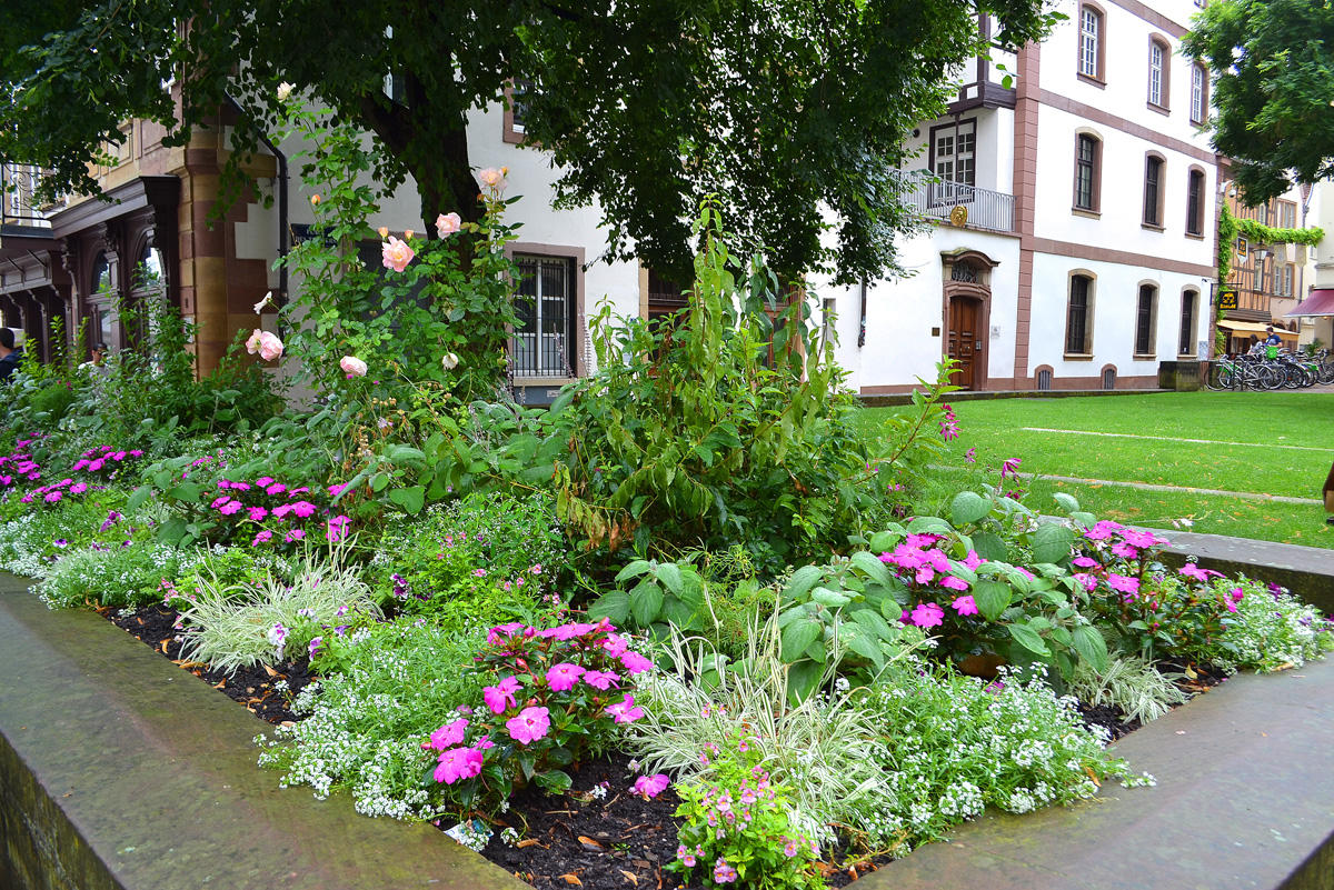 Путешествие в Европу: Достопримечательности франко-немецкого Страсбурга (часть 5, ФОТО)